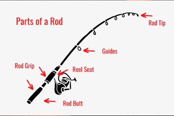 Fishing Rod Parts Explained