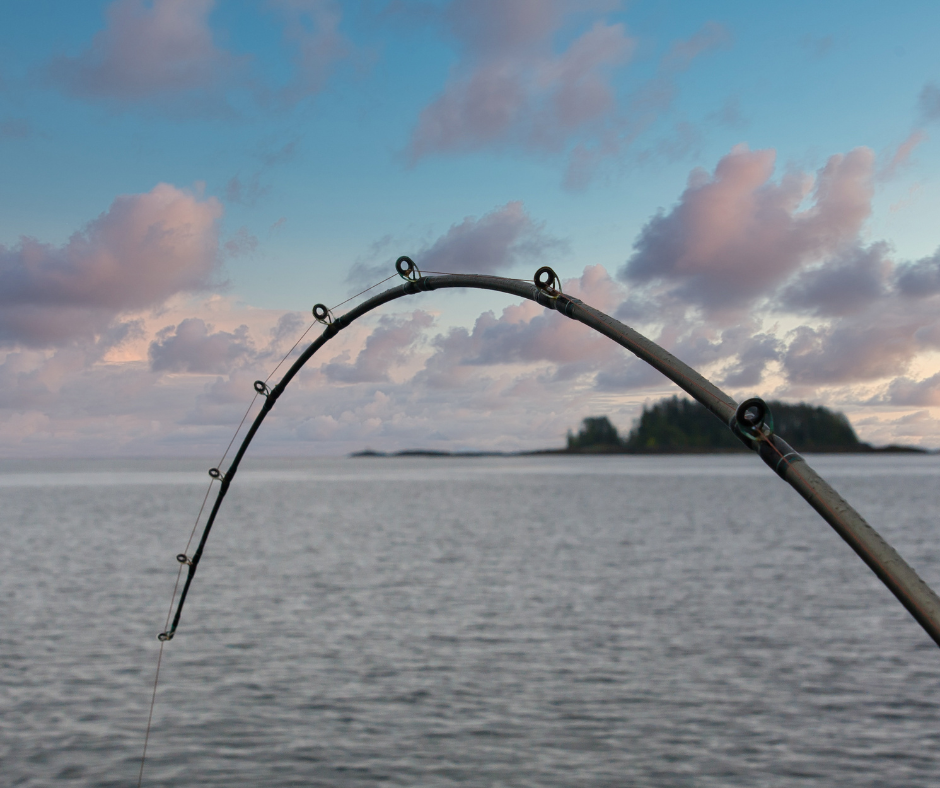 Carbon Fiber Fishing Rod Benefits