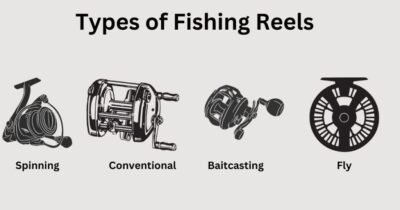 fishing reels for beginners