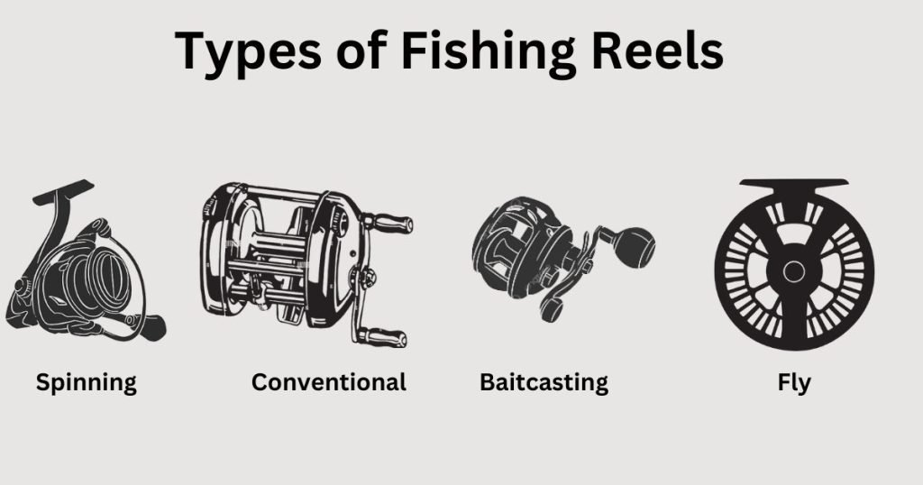 fishing reels for beginners