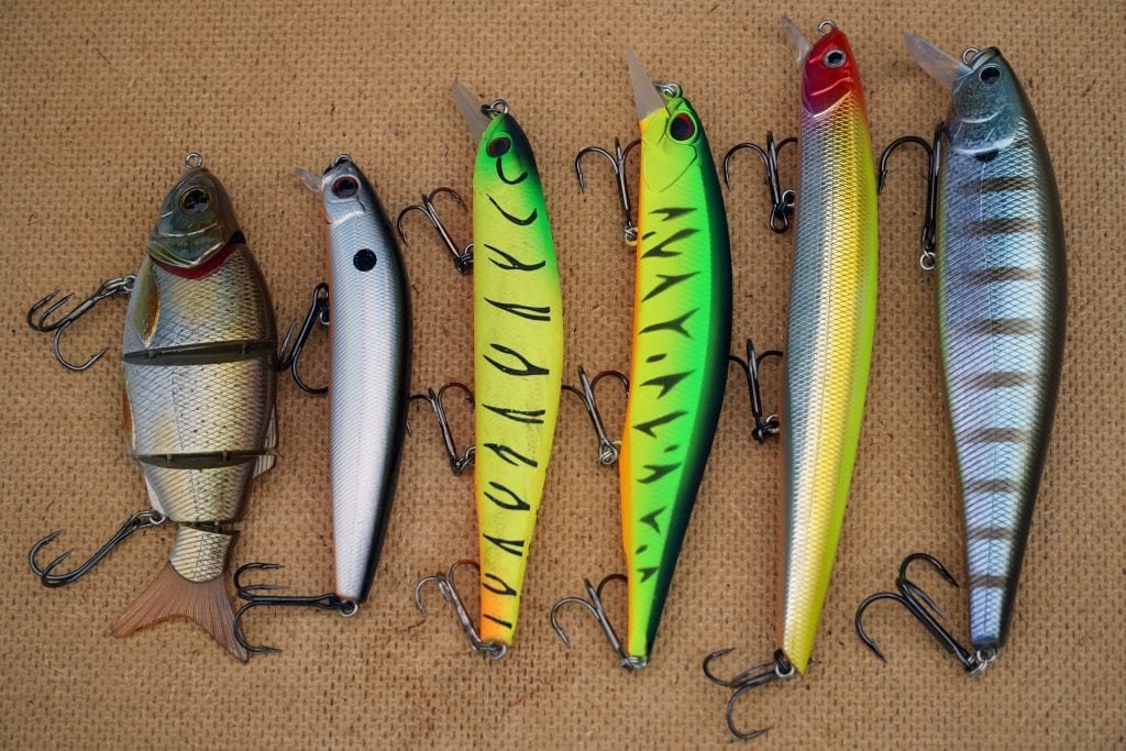 Different Types of Hard Baits: Topwater, Crankbaits, Swimbaits