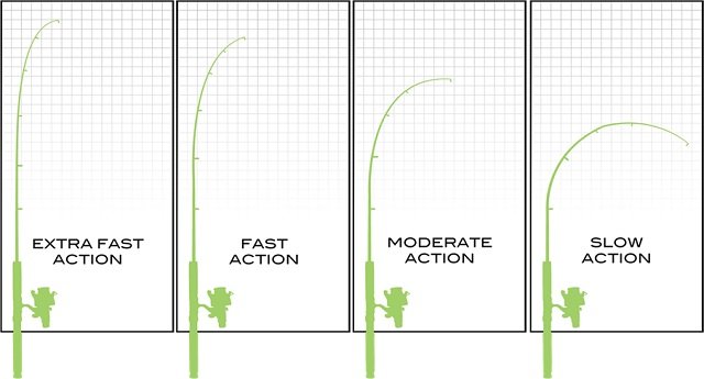 Fishing Rod Action Types
