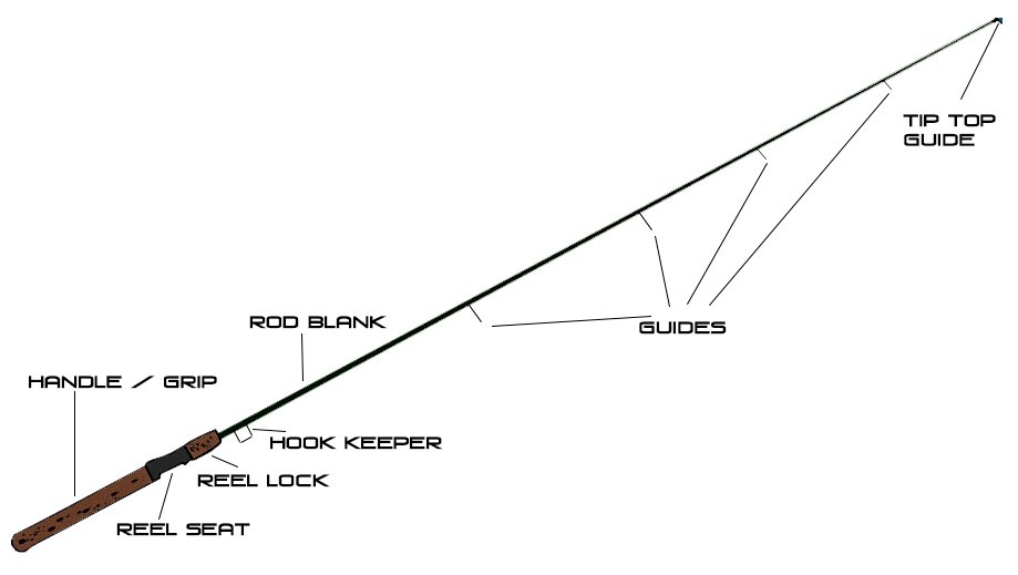 Parts of a Fishing Rod