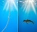 Underwater comparison showing a standard fishing line vs an invisible fluorocarbon leader.