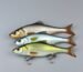 A three-pack of HENG JIA multi-section jointed swimbait lures.